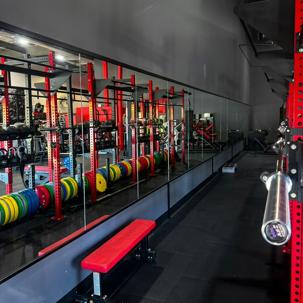 Gym Mirror Wall — Full-height mirror wall · Safety-backed · Commercial fit-out